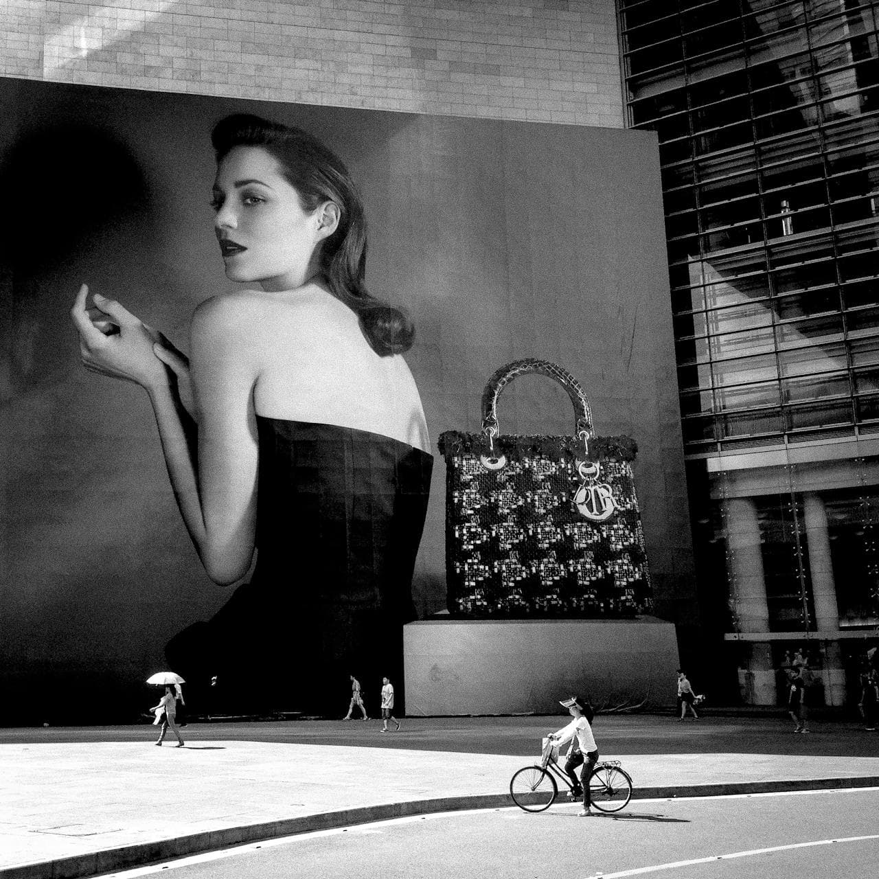 Paid Media Management